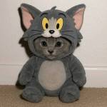 donx2399 Profile Picture