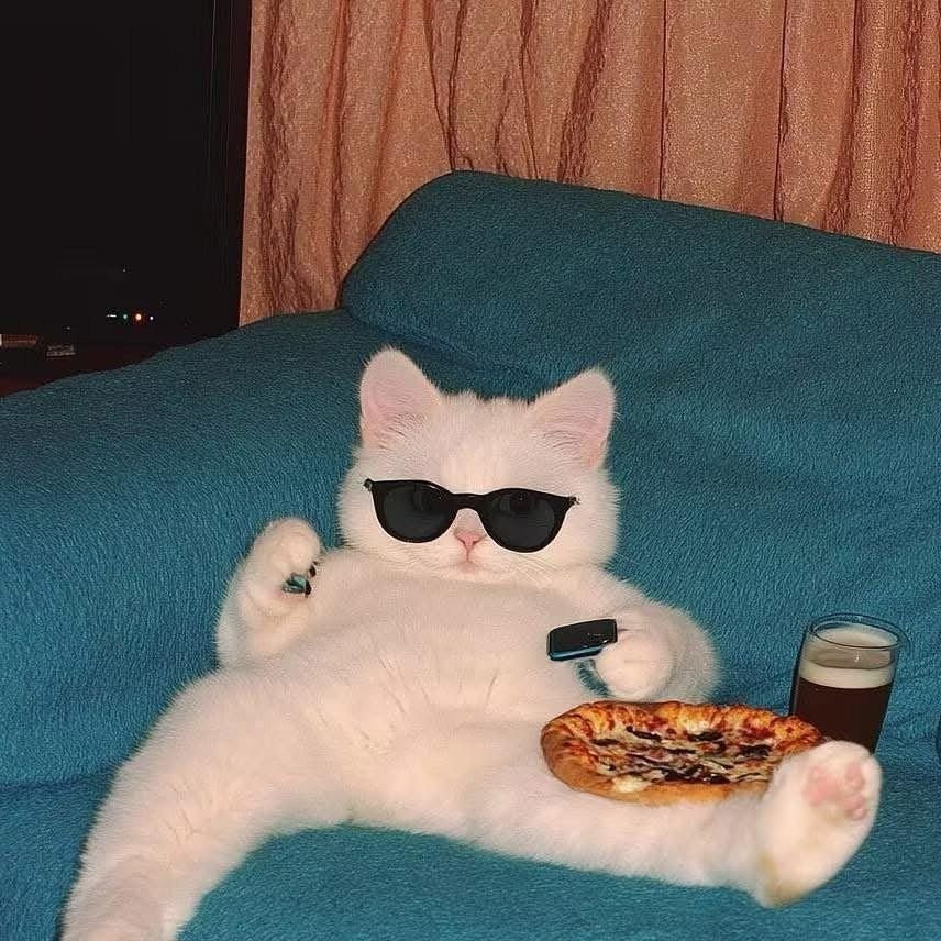 Tyy Ar Profile Picture