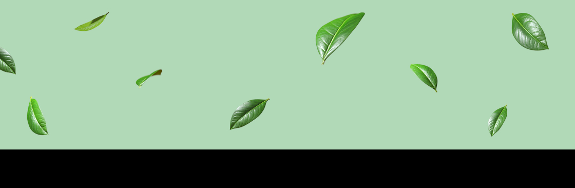 Bloom and Bud Cover Image