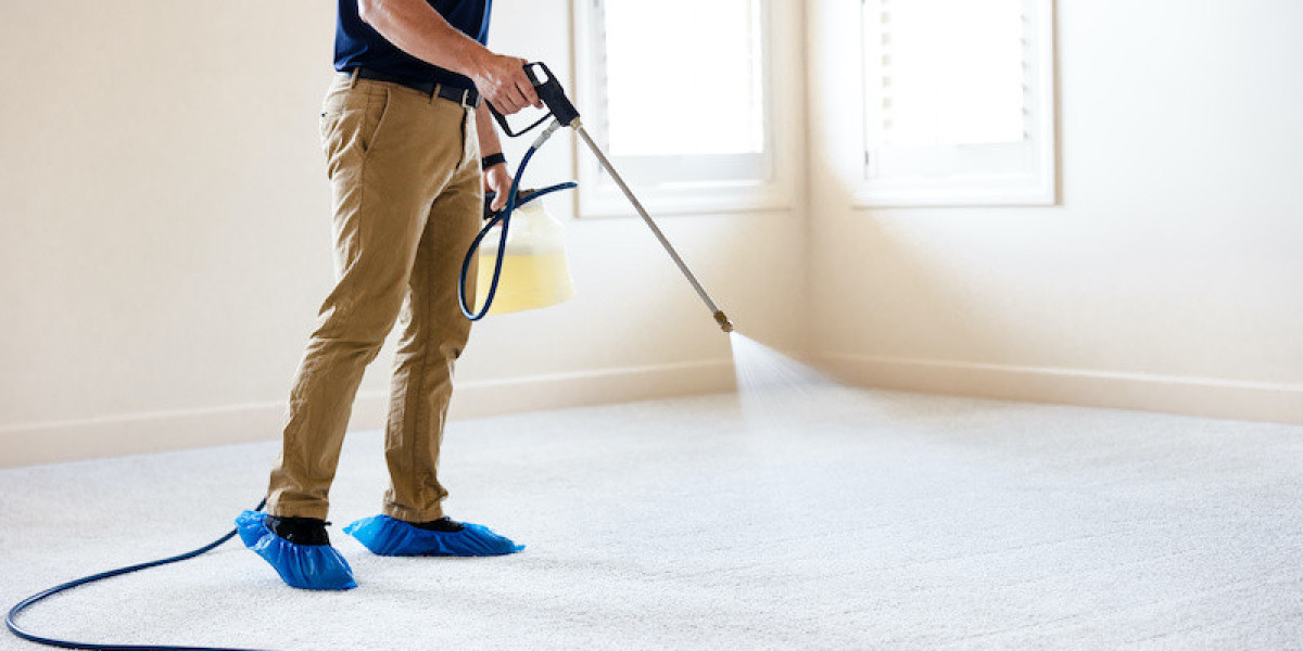 Water Extraction Carpet Cleaning Denver, CO