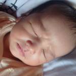 Saa Vallen Profile Picture