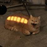 mie ayanc Profile Picture