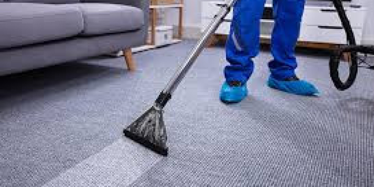 Carpet Cleaning Services That Renew Carpets