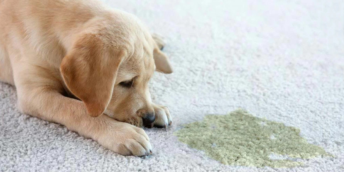 Pet Stain Removal Services Topeka, KS