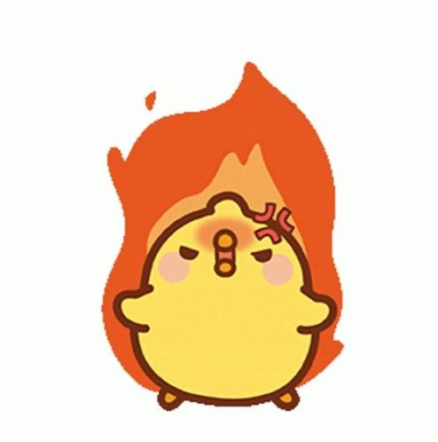 Jevsa Vierra Profile Picture
