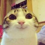 pirlrs Profile Picture