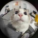 Bianc Profile Picture