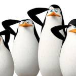 Vien zip Profile Picture