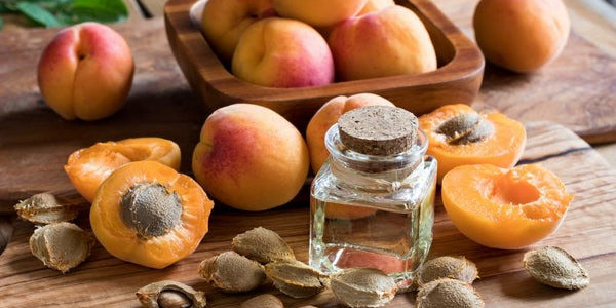 Apricot Seed Oil Processing Plant Report 2025: Raw Material Requirements, Cost and Economics