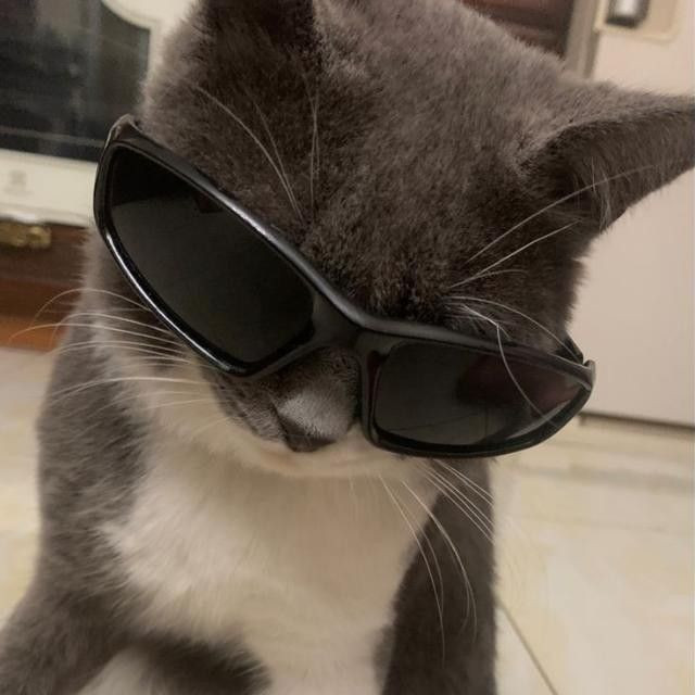 nuja rie Profile Picture