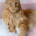 Wineverydayy profile picture