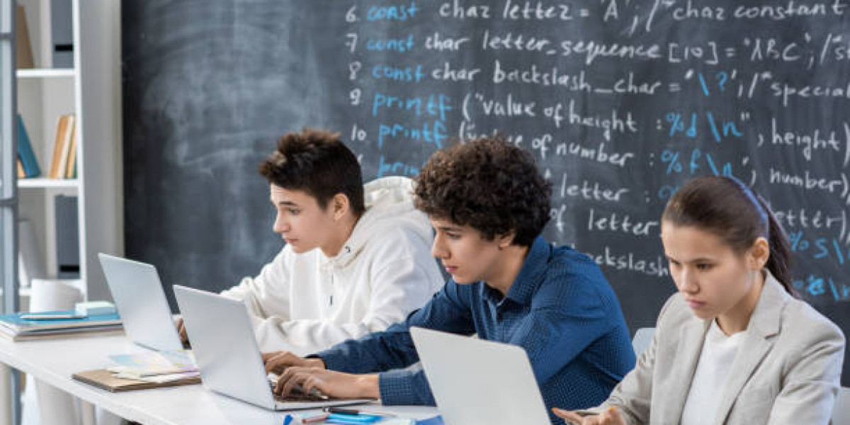 The Future of MATLAB Writing in Schools