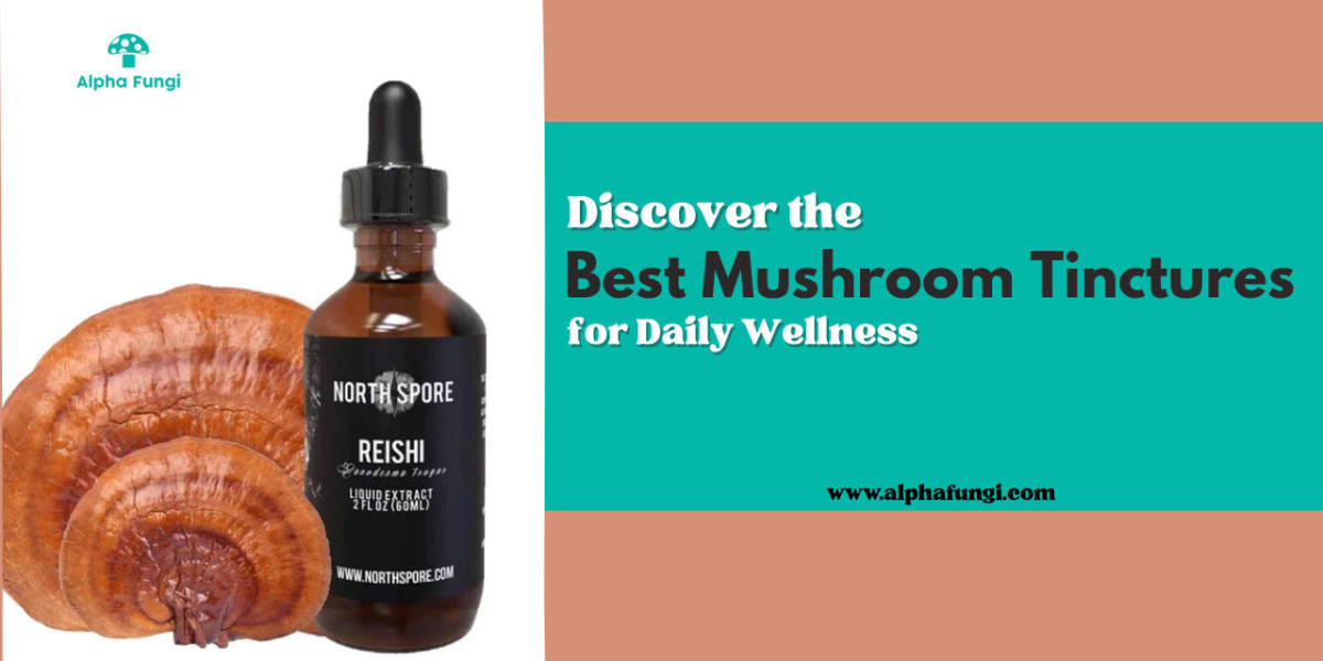 Discover the Best Mushroom Tinctures for Daily Wellness