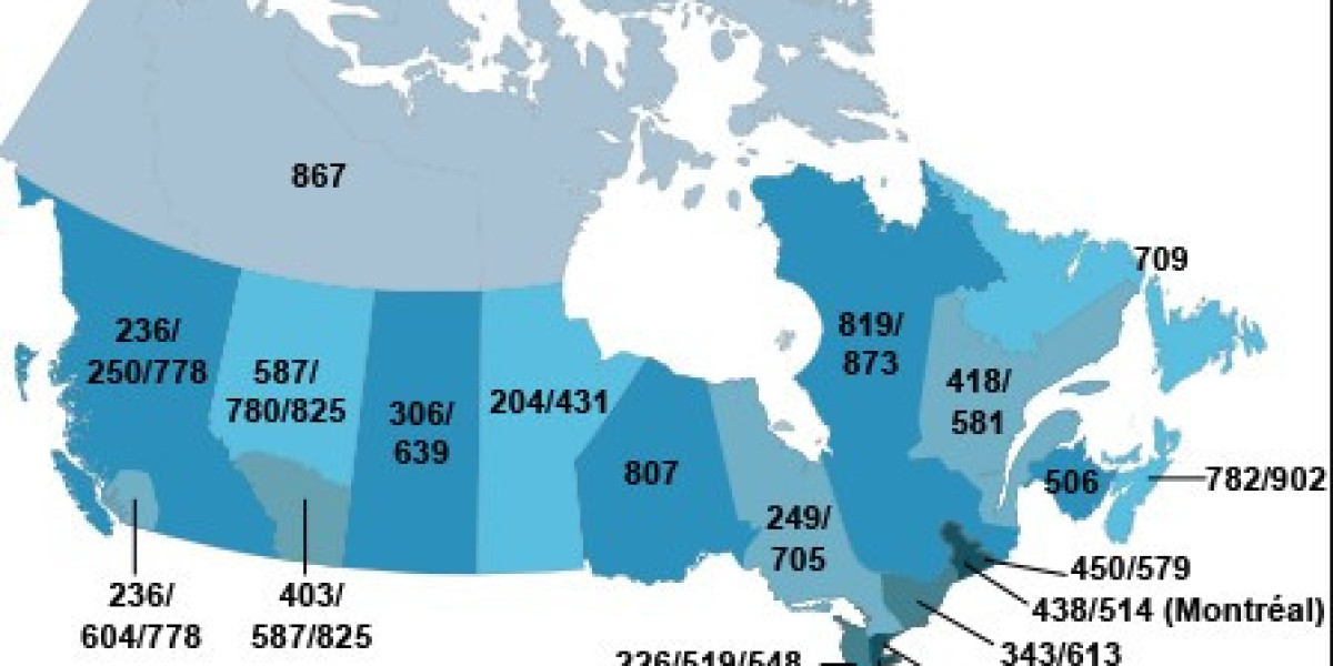 Canadian Company Email List: The Key to Unlocking B2B Opportunities in Canada