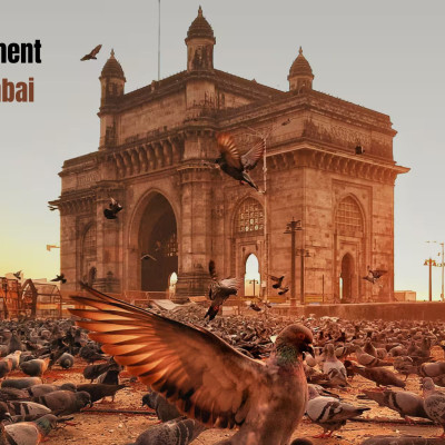 Mobile App Profile Picture