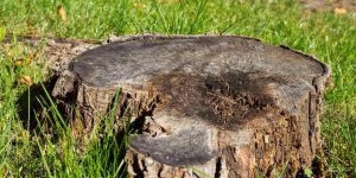Smart Urban Forestry: The Science-Driven Future of Tree Cutting Service and Sustainable Stump Grinding