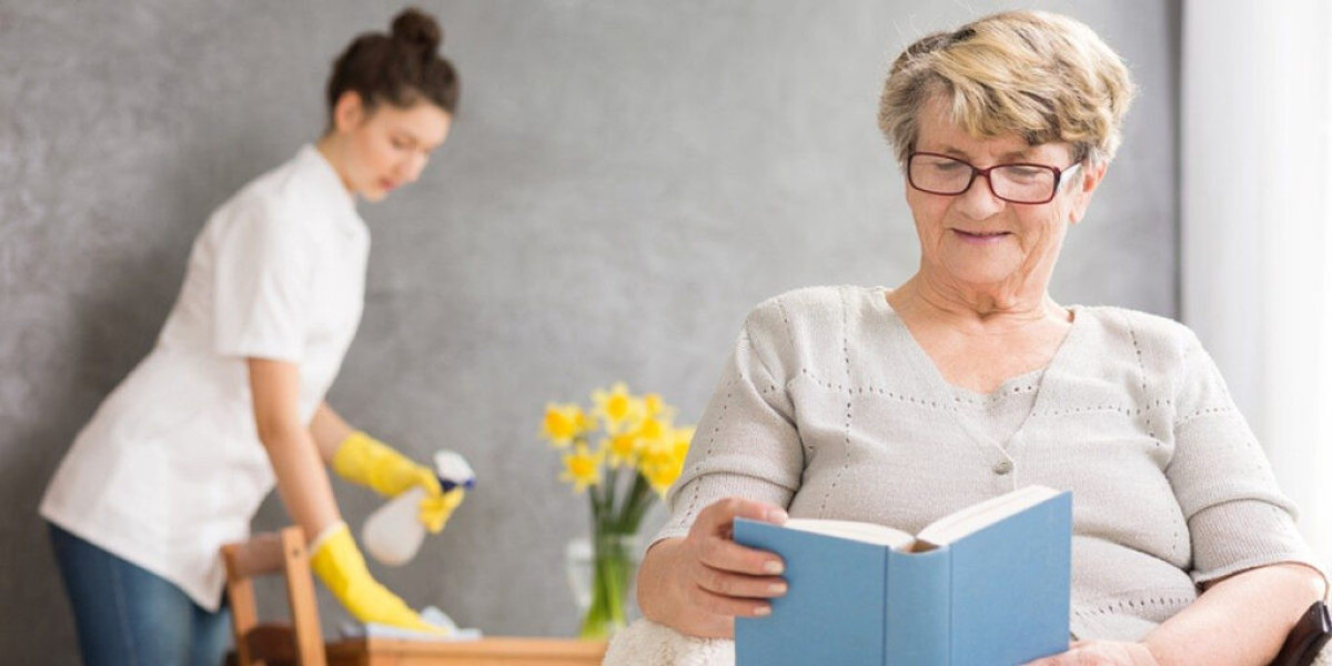 Light Housekeeping Services Tampa, FL