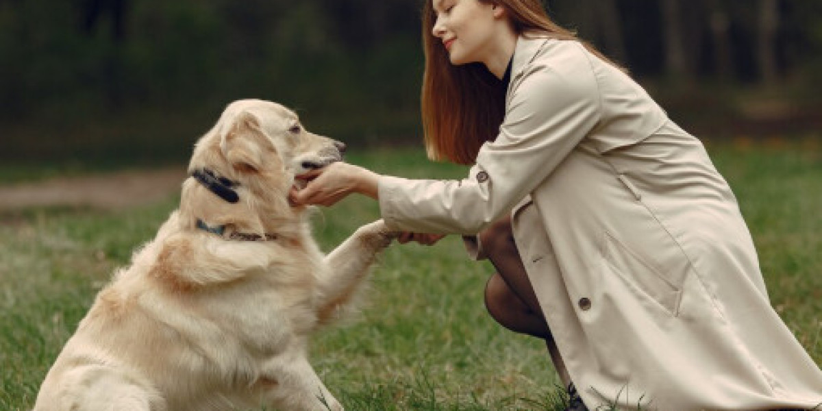 When Is In-Home Pet Euthanasia Right for Your Pet?