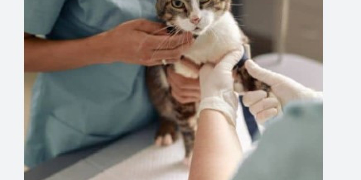 Taking Pets to Canada: Your Complete Relocation Guide