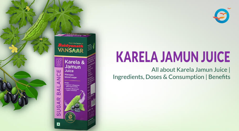 What is the role of Baidyanath Karela Jamun Juice in blood sugar control? - Freedom from Diabetes